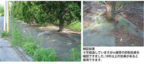 ファミリー庭園オリジナル 防草シート威力