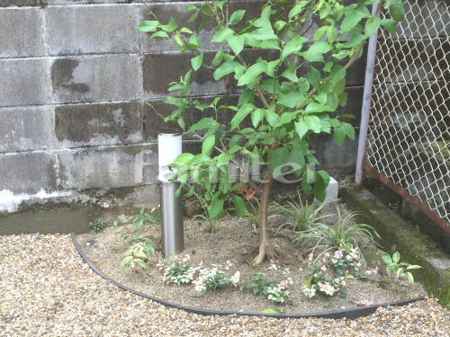 �����������ǥ�饤�Ⱦ��� TAKASHO�������硼 LED�ݡ���饤��6�� ���� ����