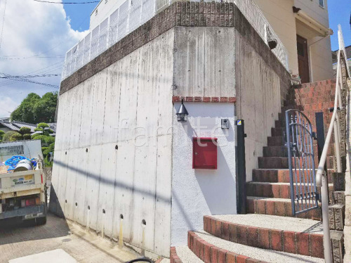 ��󥬳���  ��˥��� ��α¿ ���륿�֥�å�