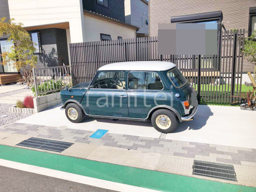 ��־쥬�졼���� �ڴ֥��󥯥꡼�� ���󥿡����å��� ��˥��� ���ӥ�
