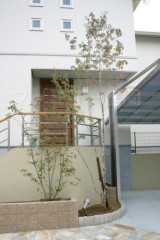 花壇 シンボルツリー