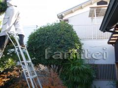 �մ�����