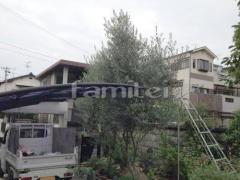 �մ���������