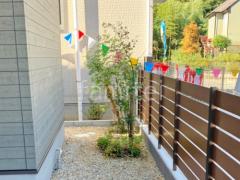 シンボルツリー シマトネリコ 常緑樹 イロハモミジ 落葉樹 植栽